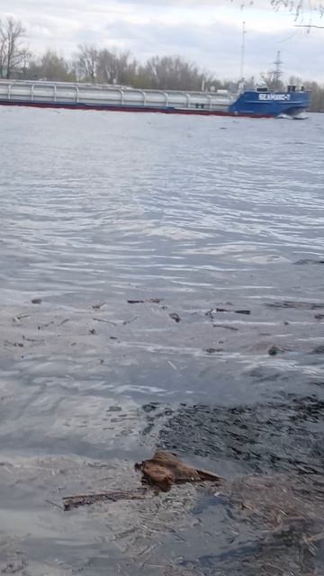 1000016009.mp4Волга.23.04.2026г.