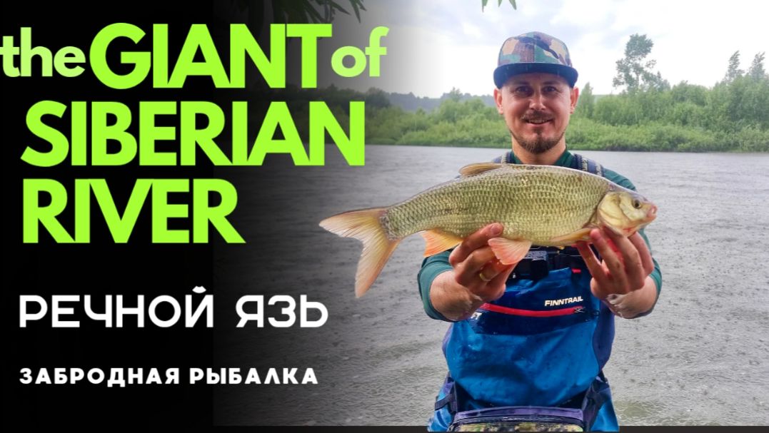 Ловля язя на спиннинг. На что уговорить язя? Огненная рыбалка🔥 щука и окунь не давали расслабиться.