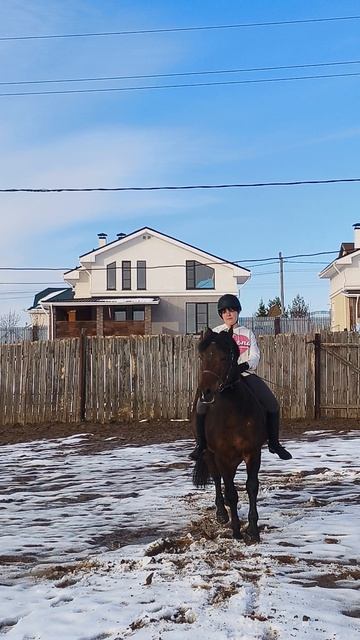 Даша и Аквилон, два полувольта на Е на плацу.