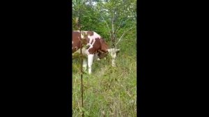 В  5 км от центра Сочи