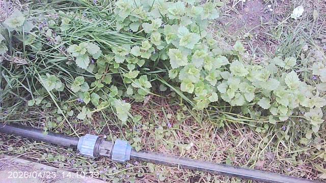 Ремонт поливной системы: проверка нового подключения трубной вставки