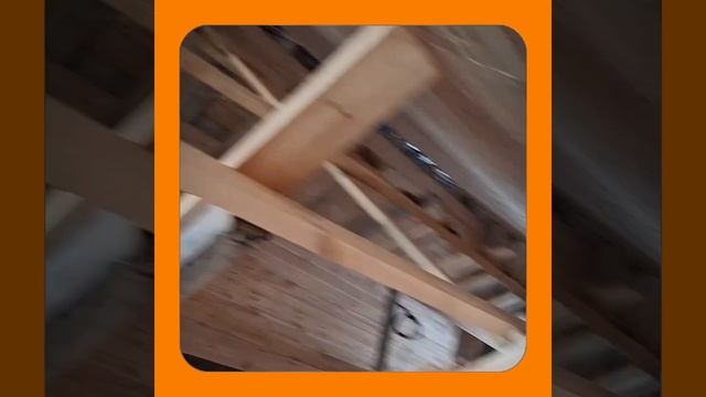 1000056859.mp4 (Собака наблюдает за устройством лестницы на 2-ой этаж в доме А-фрейм)