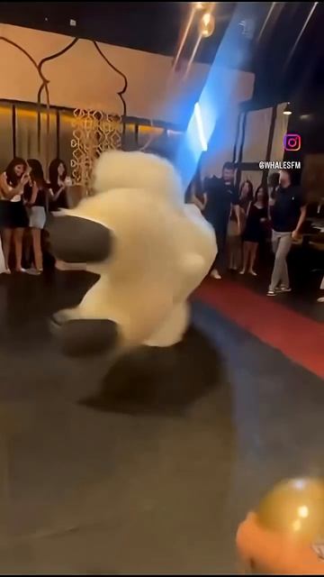 20 августа 2025 г.