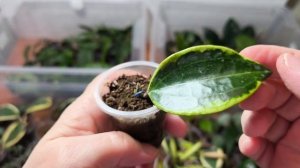 Часть 3. Излишки хой.