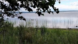 Озеро Шакша 🫶🏻 2025