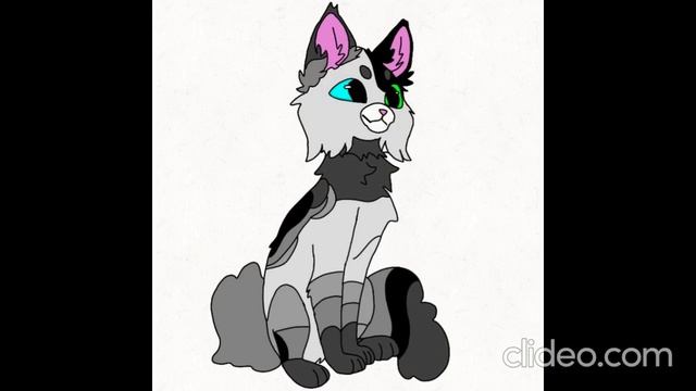 Clideo_editor_e201cb6bd2334855bb03334d44b0a466 (1)