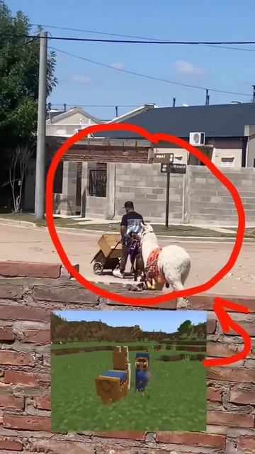 ЧТО ТОРГОВИЦ КАК МАЙГА???😱😱😱😱