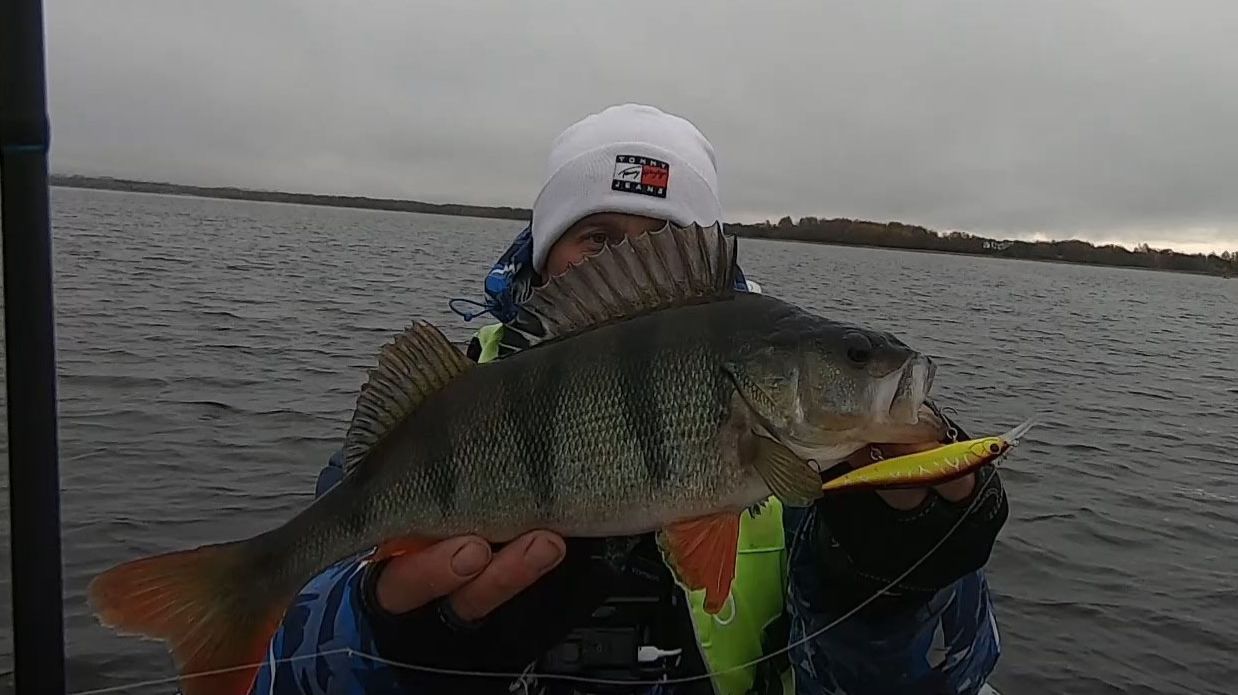 Ошибки при Выборе Воблера. Как выбрать воблер.  Твичинг крупных воблеров