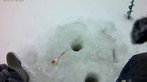 Зимняя ловля густеры на реке Ока в метель