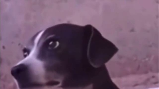 Я смотрю, как официант относит еду за столик, который сделал заказ после нас