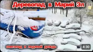 Деревопад в Марий Эл из- за снегопада и ледяного дождя❗ Город сковала непогода❗ Сегодня ЧП❗