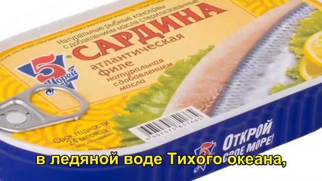 📹 7 видов рыбы, которые нас медленно травят, и 5 вариантов, которые РЕАЛЬНО того стоят