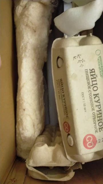 Светильник