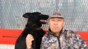 ИГОРЬ АЛТАЙСКИЙ ЭКСПЕРТ КИНОЛОГ