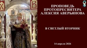 Проповедь Протопресвитера Алексия Аверьянова в Светлый Вторник. 14 апреля 2026 года