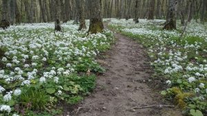 Ставрополь.Весна 2026