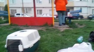 16)V ЖИЛОЙ КОМПЛЕКС ОЛИМПИСКИЙ УЛИЦА РОДОССКАЯ 3 ЖАРИМ ШАШЛЫКИ