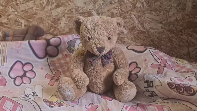 Лопата в руки и вперёд!