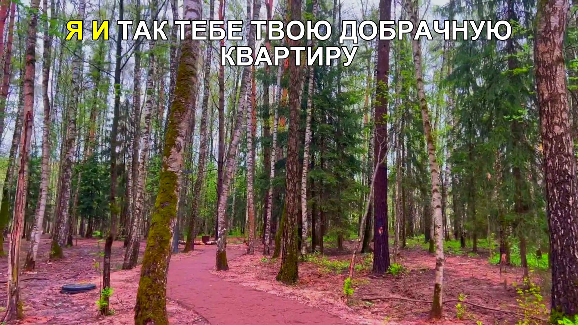 Я и так тебе твою добрачную квартиру оставил