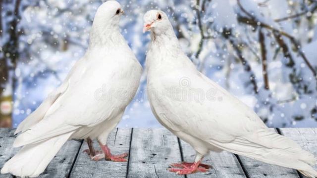 Тихо крадётся детство.