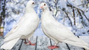 Тихо крадётся детство.