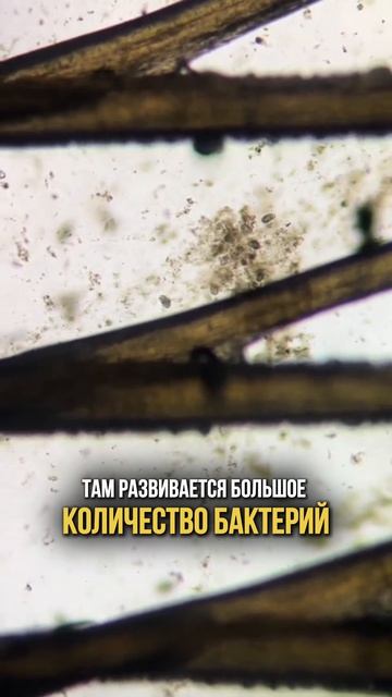 Эти предметы нужно выкинуть!