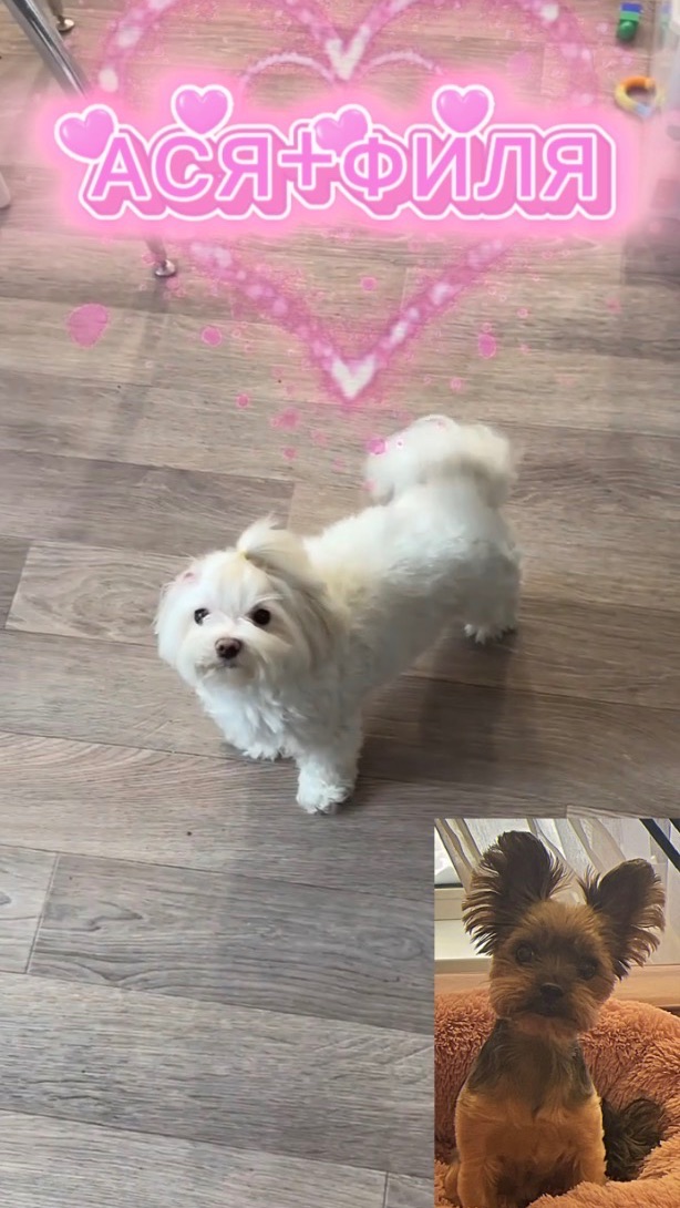 Конфуз😂 все секреты раскрыты💞