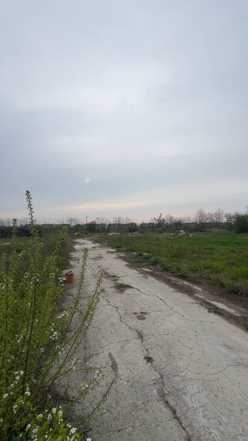 Тест петарды Халк