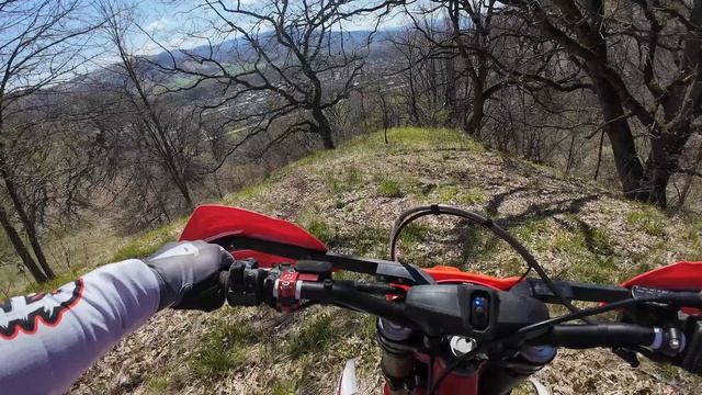 Псебай 2026 Колизей