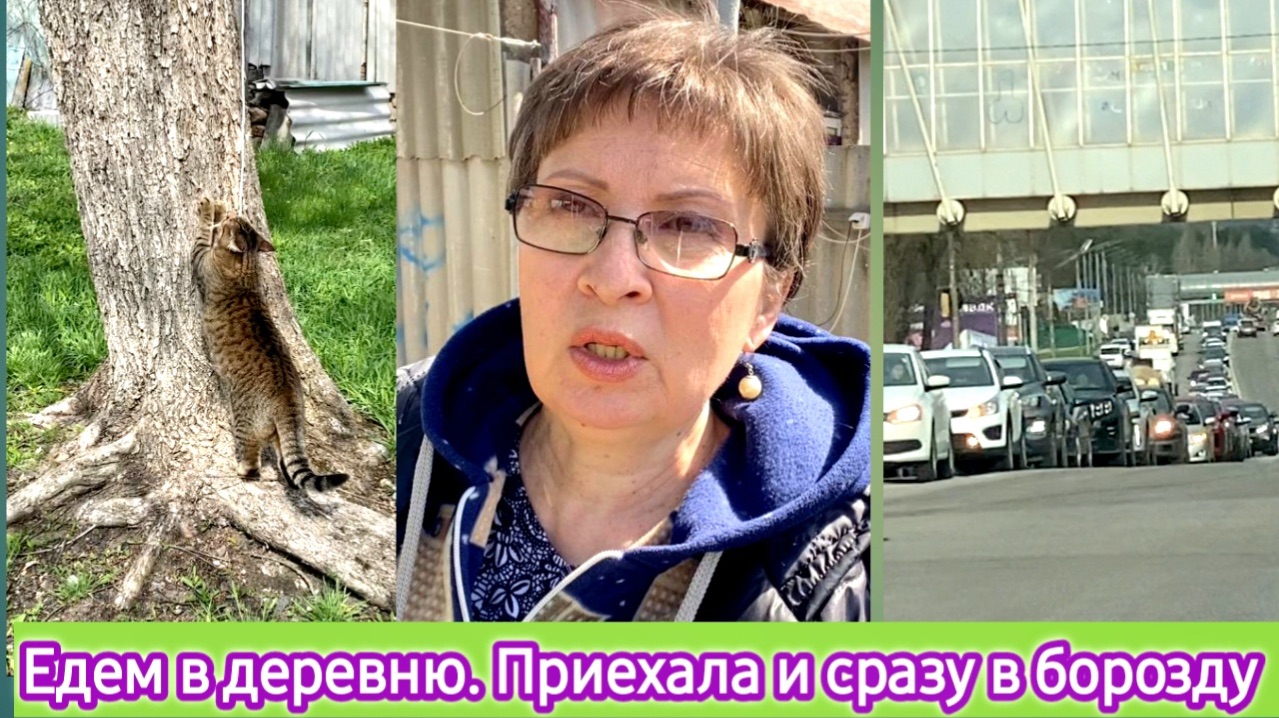 Едем в деревню - приехали и сразу в борозду. Ищу клубнику в сорняках