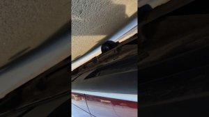 Renault Sandero Stepway