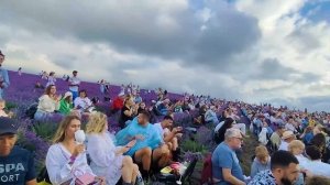 DiDuLya Concert in Lavender Fields