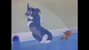 Все Мемы "Том"