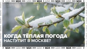 Когда в Москве наступит тёплая погода? — Москва 24 | Контент