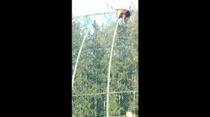 ДРЕССИРОВКА СОБАК. ФИЗПОДГОТОВКА СОБАК