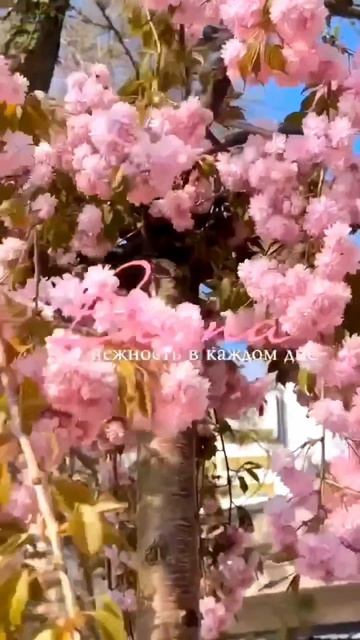 Весна в Анапе