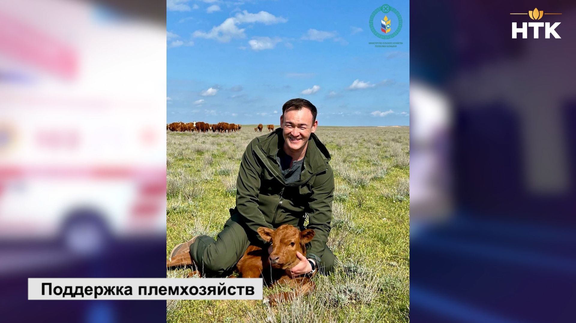 В 2025 году субсидии на содержание племенного животноводства составят свыше 110 млн. рублей