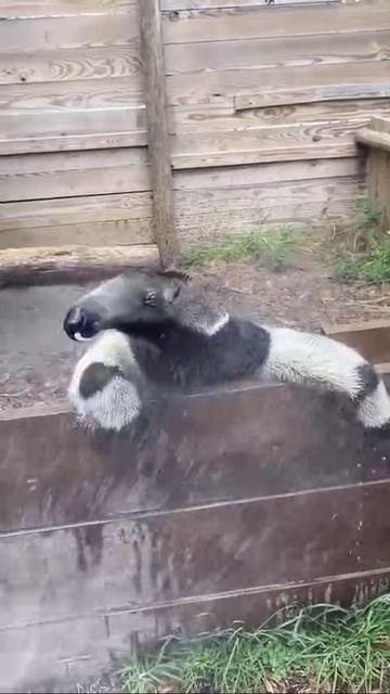 VID_20260423_203939_515.mp4