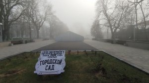 Городской сад. Туман в парке.