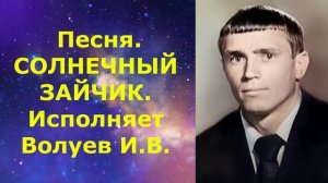 1602.4.В.Ю. ВИДЕО. Песня. СОЛНЕЧНЫЙ ЗАЙЧИК. Исполняет Волуев И.В.
