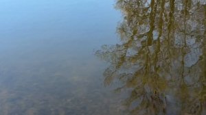 Парк с озером, Питер