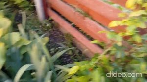 23 июня 2025г Красоты на канал немного....Уже хочется такого тепла...хотя сегодня 23 апреля...