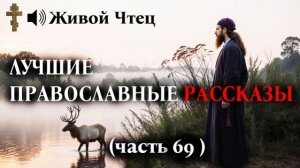 СТАРЫЙ ЗВОНАРЬ ВЫГНАЛ МАЛЬЧИКА ИЗ ХРАМА... ЛУЧШИЕ ПРАВОСЛАВНЫЕ РАССКАЗЫ часть 69