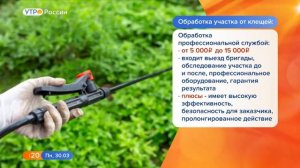 Борьба с клещами