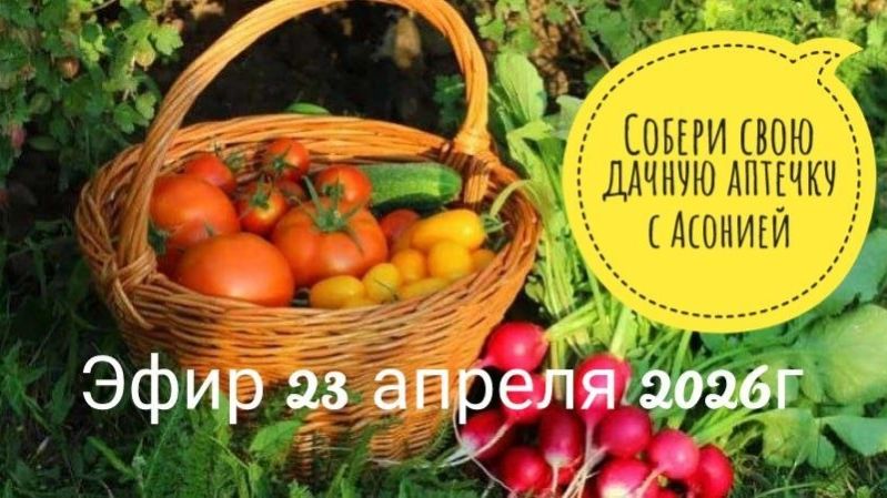 Собери свою дачную аптечку с Асонией