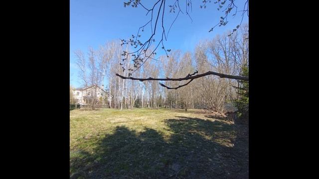 Малая офицерская 1