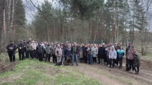 Жители Котельников бьют тревогу: зачем массово вырубают лес в Кузьминском лесопарке?