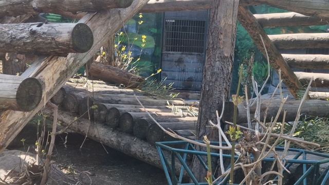 Оживший зоопарк.  Апрель.