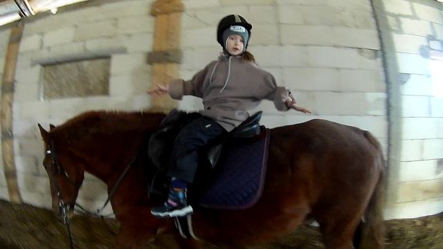 #жизнь_Аликорна 10.04.26 Тренировка юного аликорновца)