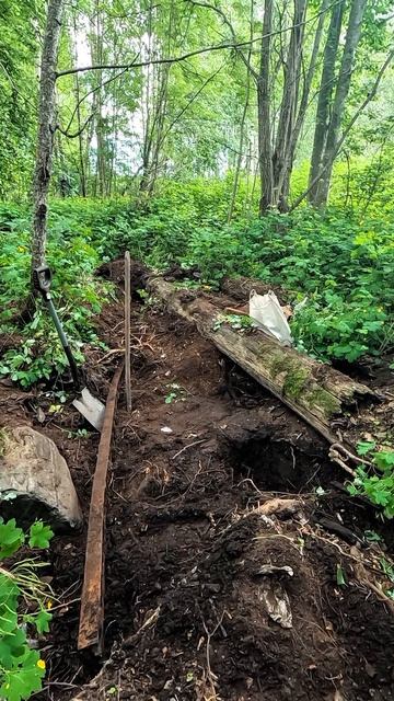 Такая мелочь попалась